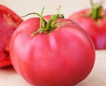 домати Димероса F1