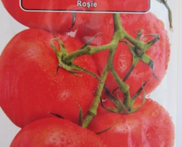 домати Бонония
