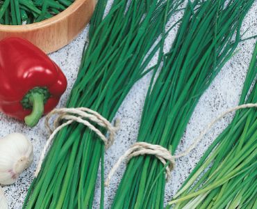 Сибирски лук`SG