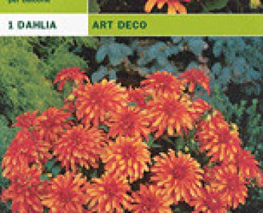 далия ниска Art Deco