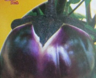 патладжан Кръгъл