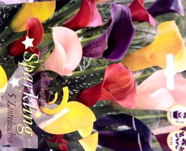 кала Sparkling mix