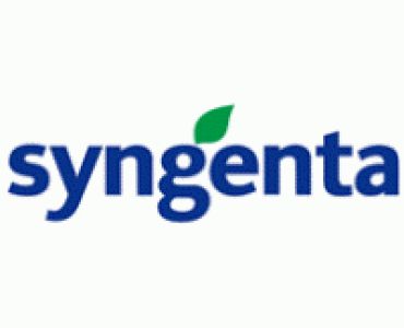 домати Донара F1