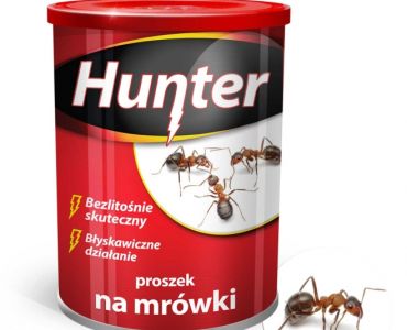 Пудра срещу мравки