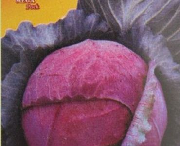 зеле Червено