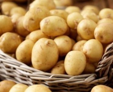 семе картофи Десибел (Маестро)