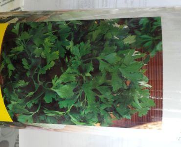 Магданоз фестивал кутия