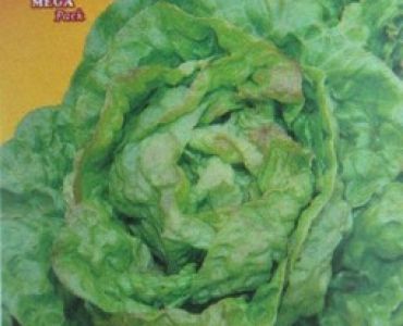 салата Ragina di Maggio