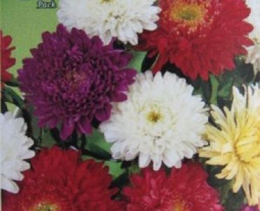 Астра - Принцеса смес