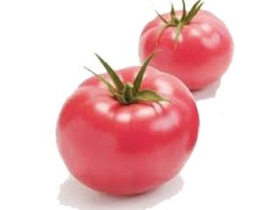 домати TY-II03 (Японско качество)