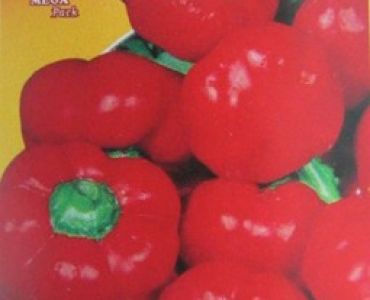 пипер Камби Топепо