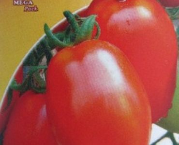 домати Рома