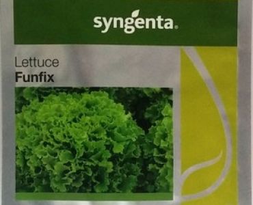 салата Фънфикс F1