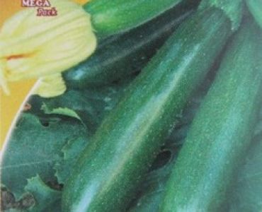 тиквички Черна красавица от Милано