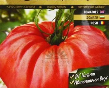 домати Червен градински 