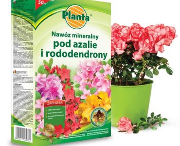 Тор за рододендрони и азалии Planta