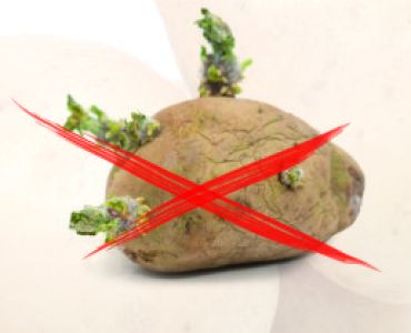 Неостоп ДП - за подтискане развитието на кълновете при съхранение на картофи - ЗАБРАНЕН ПРЗ