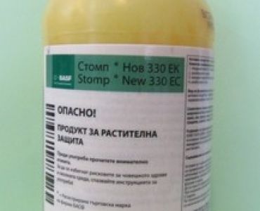 Стомп нов плюс