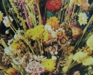 Цветен микс - сухи цветя