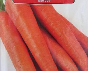моркови Карлена (Тушон)