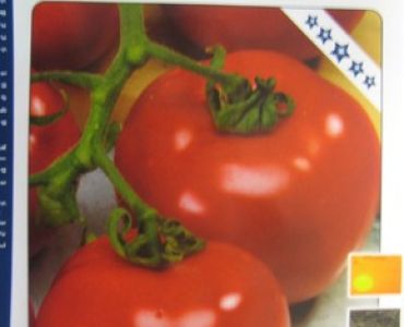 домати Монтекарло F1