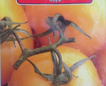 домати Жълто - Златна Кралица