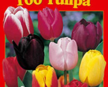 Лалета класически микс 50 бр