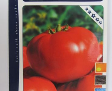 домати Одисеа F1