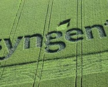 Хорус 50 ВГ + Скор 250 ЕК (пакет) 1кг + 1л