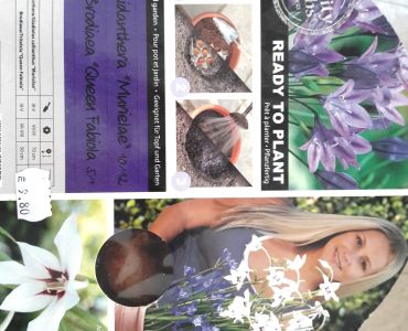 Микс пролетни цветя 4