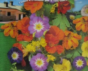 Цветен микс - увивни растения (Fiore Vivo)