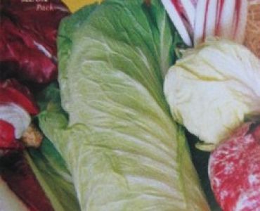 Цикория микс 