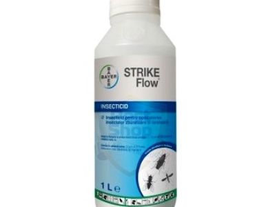 Страйк Флоу 