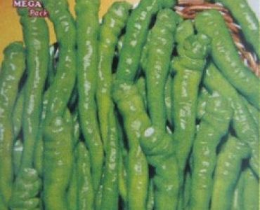 пипер цигарета Биондо