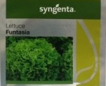 салата Фънтазия F1