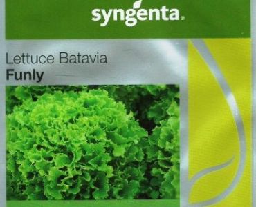 салата Фънли F1