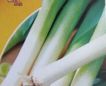 праз Едър зимен