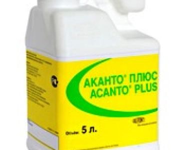 Гранстар Супер + Аканто Плюс (пакет)