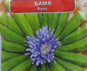 семена бамя Клемсон