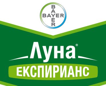 Луна Експирианс Luna Experience