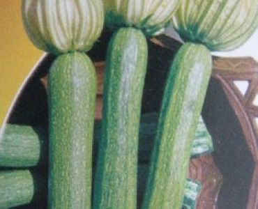 тиквички Дженовезе