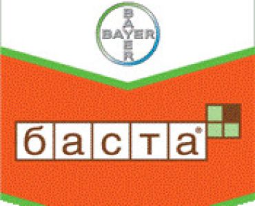 Баста 15 СЛ - ЗАБРАНЕН ПРЗ