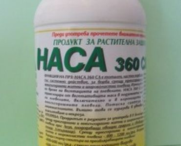 Наса Таф