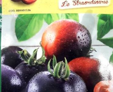 Семена домати Черно чери 