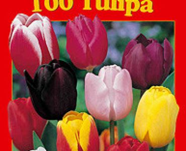 Лалета класически микс 50бр 