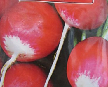 репички ЧБО