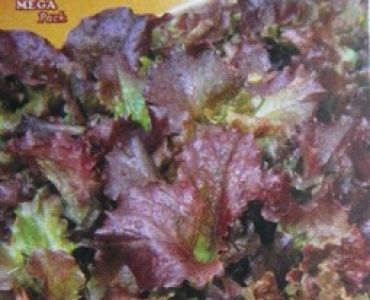 салата Biscia Rossa