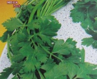 магданоз Гигант