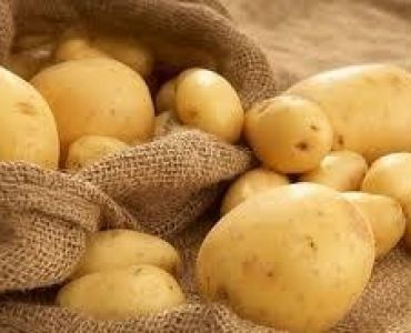 семе картофи Актрис