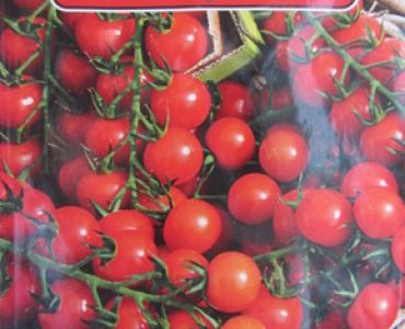 домати Ред Чери